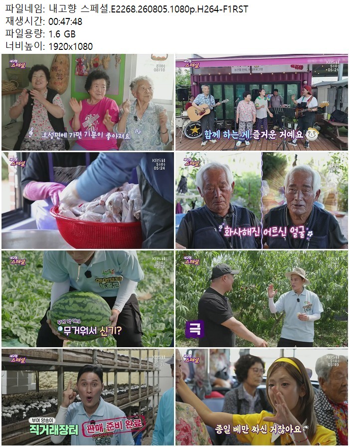 내고향 스페셜.E2268.260805.1080p.H264