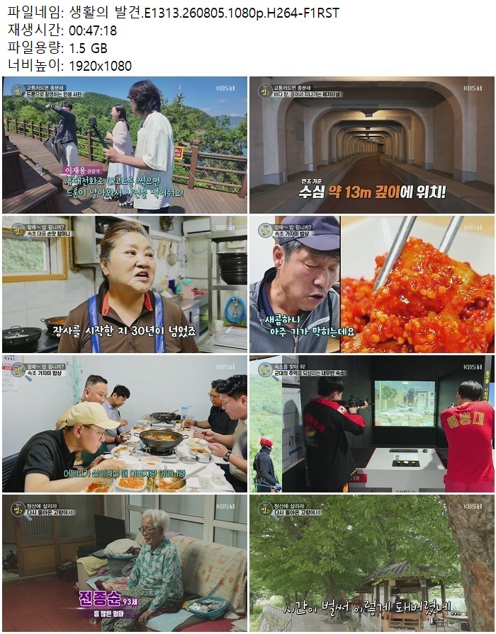 생활의 발견.E1313.260805.1080p.H264