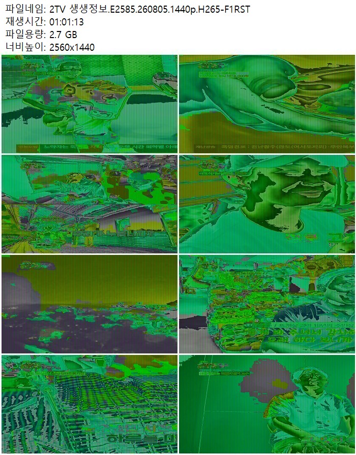 2TV 생생정보.E2585.260805.1440p.H265