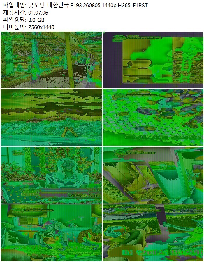굿모닝 대한민국.E193.260805.1440p.H265