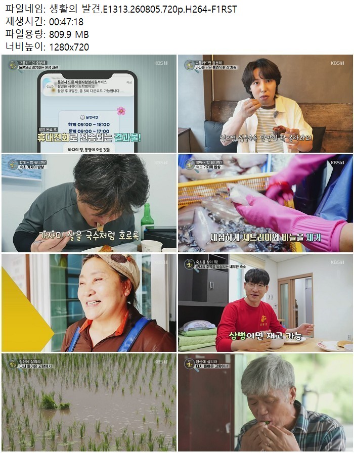 생활의 발견.E1313.260805.720p.H264