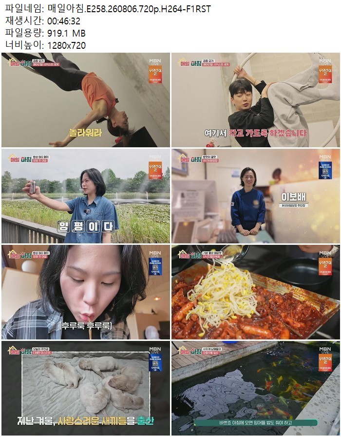 매일아침.E258.260806.720p.H264