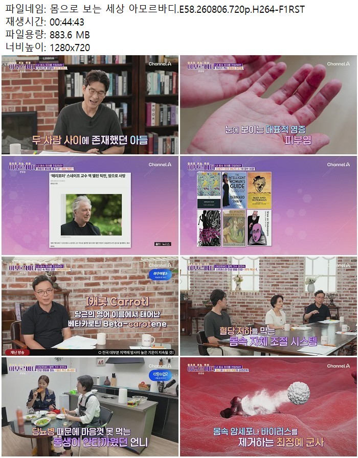 몸으로 보는 세상 아모르바디.E58.260806.720p.H264