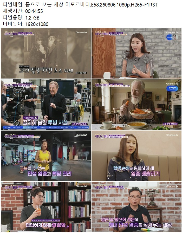 몸으로 보는 세상 아모르바디.E58.260806.1080p.H265