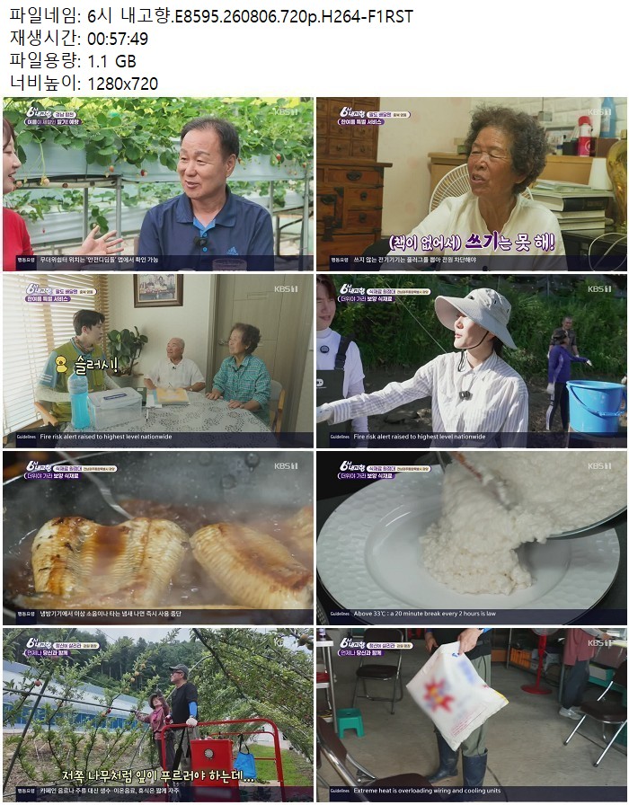 6시 내고향.E8595.260806.720p.H264