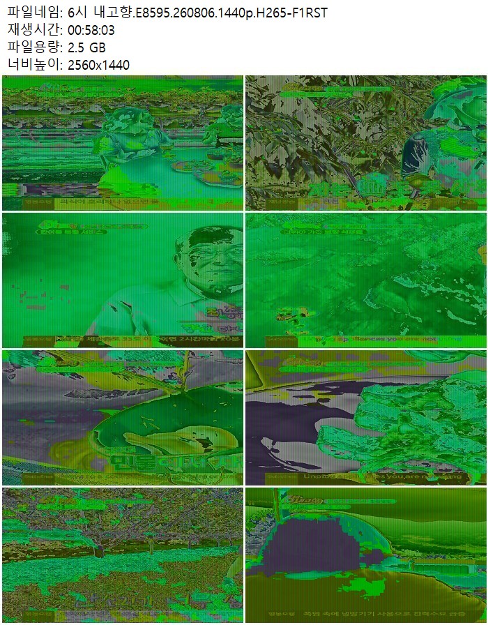 6시 내고향.E8595.260806.1440p.H265