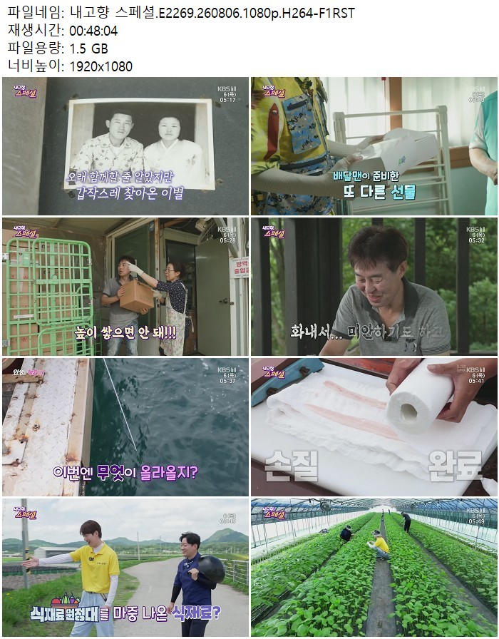 내고향 스페셜.E2269.260806.1080p.H264