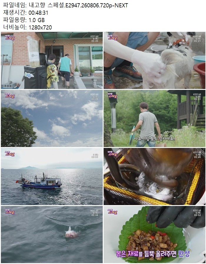 내고향 스페셜.E2947.260806.720p-NEXT
