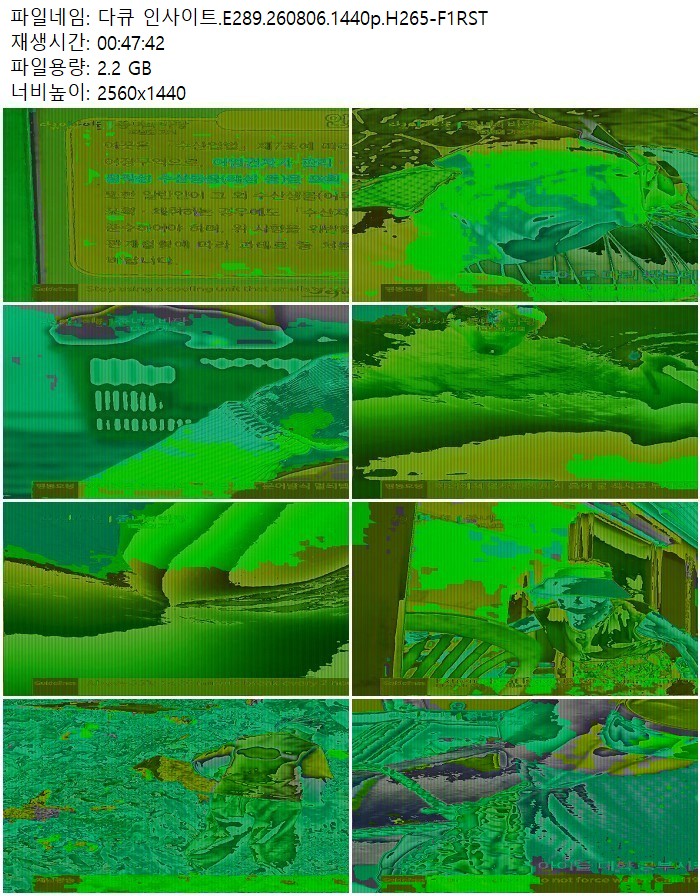 다큐 인사이트.E289.260806.1440p.H265