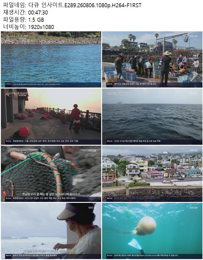 다큐 인사이트.E289.260806.1080p.H264