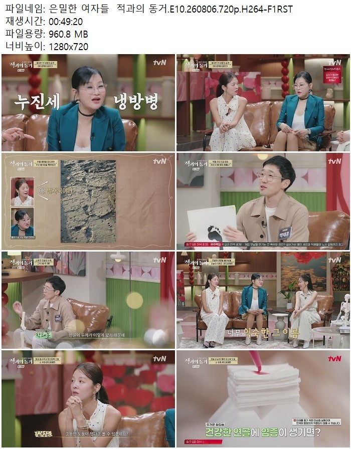 은밀한 여자들  적과의 동거.E10.260806.720p.H264