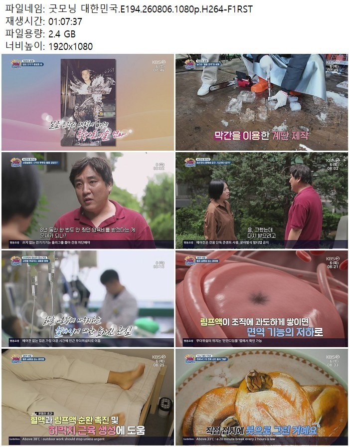 굿모닝 대한민국.E194.260806.1080p.H264