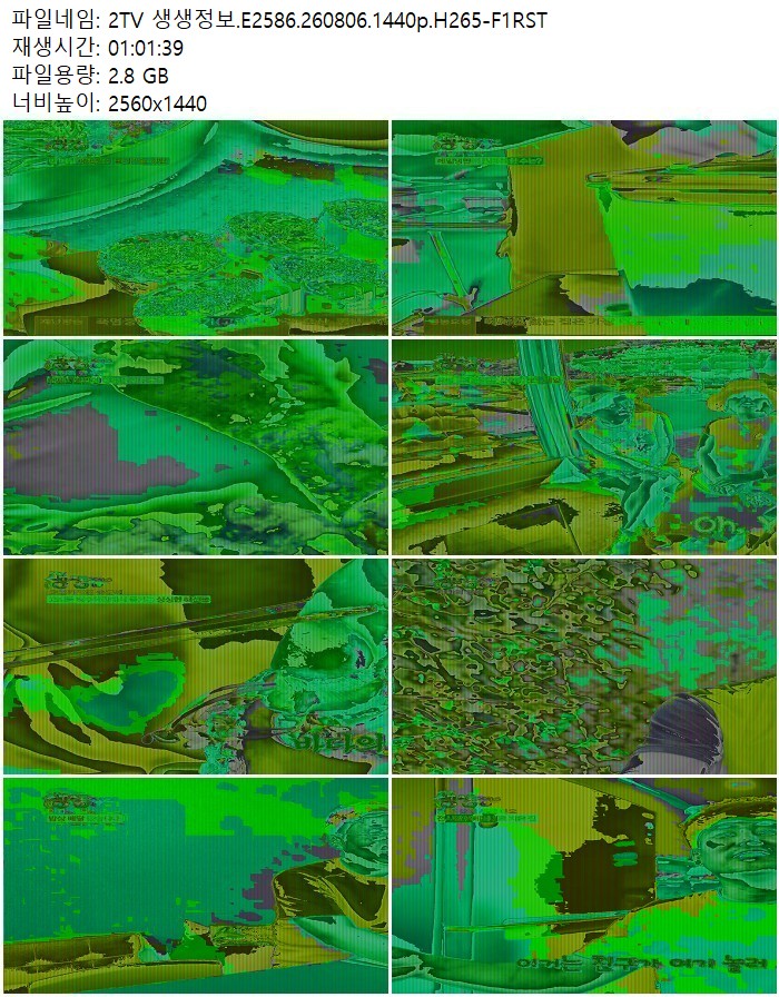 2TV 생생정보.E2586.260806.1440p.H265