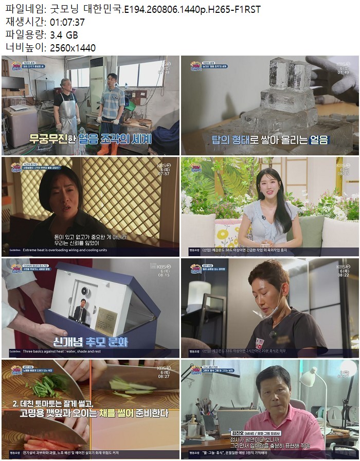 굿모닝 대한민국.E194.260806.1440p.H265