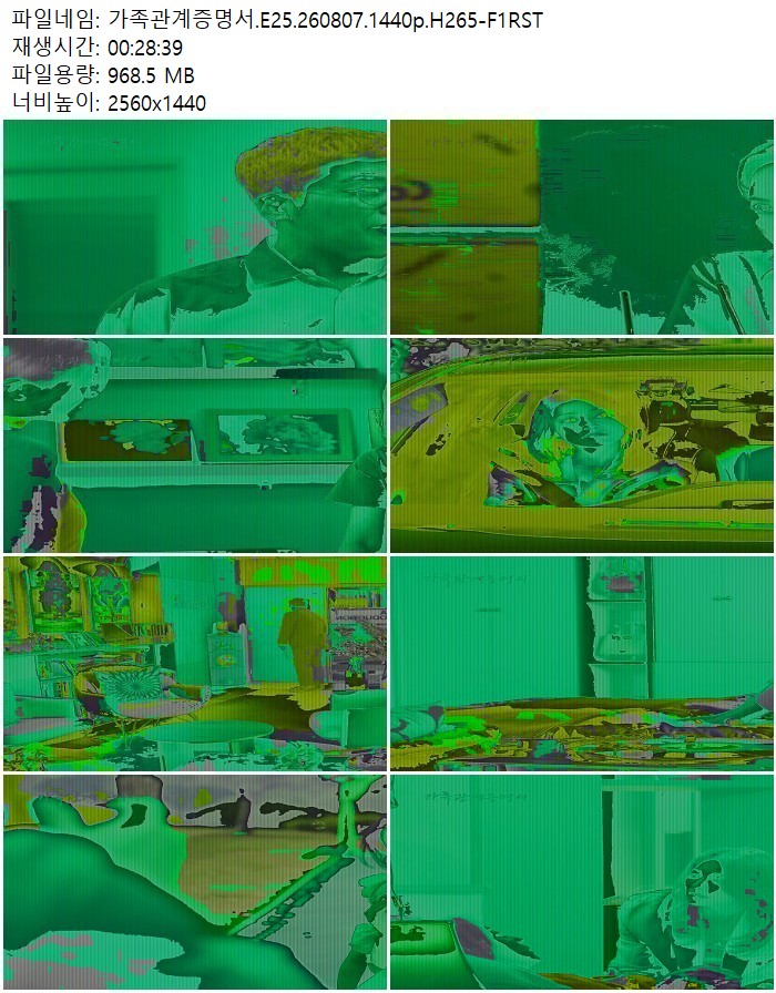 가족관계증명서.E25.260807.1440p.H265