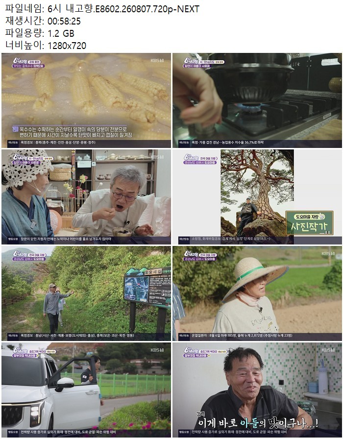 6시 내고향.E8602.260807.720p-NEXT