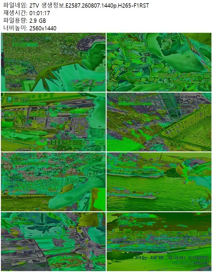 2TV 생생정보.E2587.260807.1440p.H265