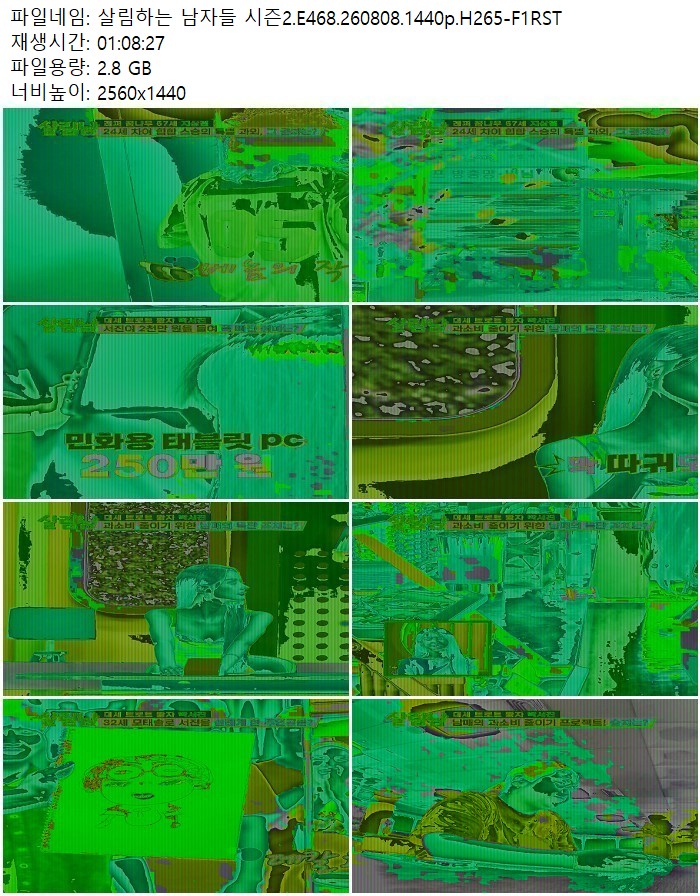 살림하는 남자들 시즌2.E468.260808.1440p.H265