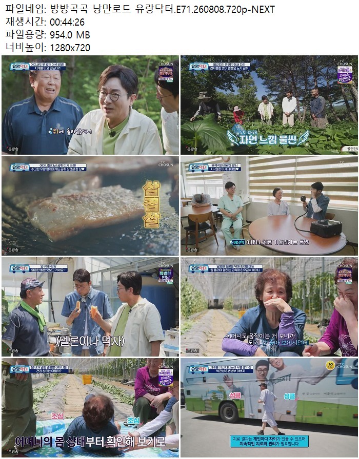 방방곡곡 낭만로드 유랑닥터.E71.260808.720p-NEXT