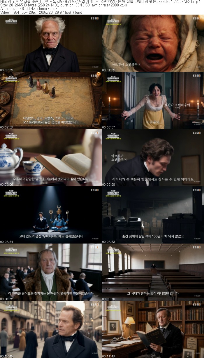 AI 고전 역사를 바꾼 100책 - 의지와 표상으로서의 세계 1강 쇼펜..