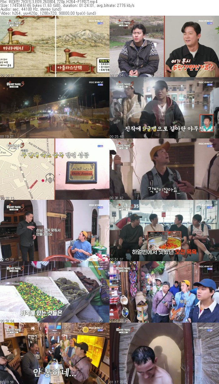 위대한 가이드3.E09.260804.720p.H264-F1RST