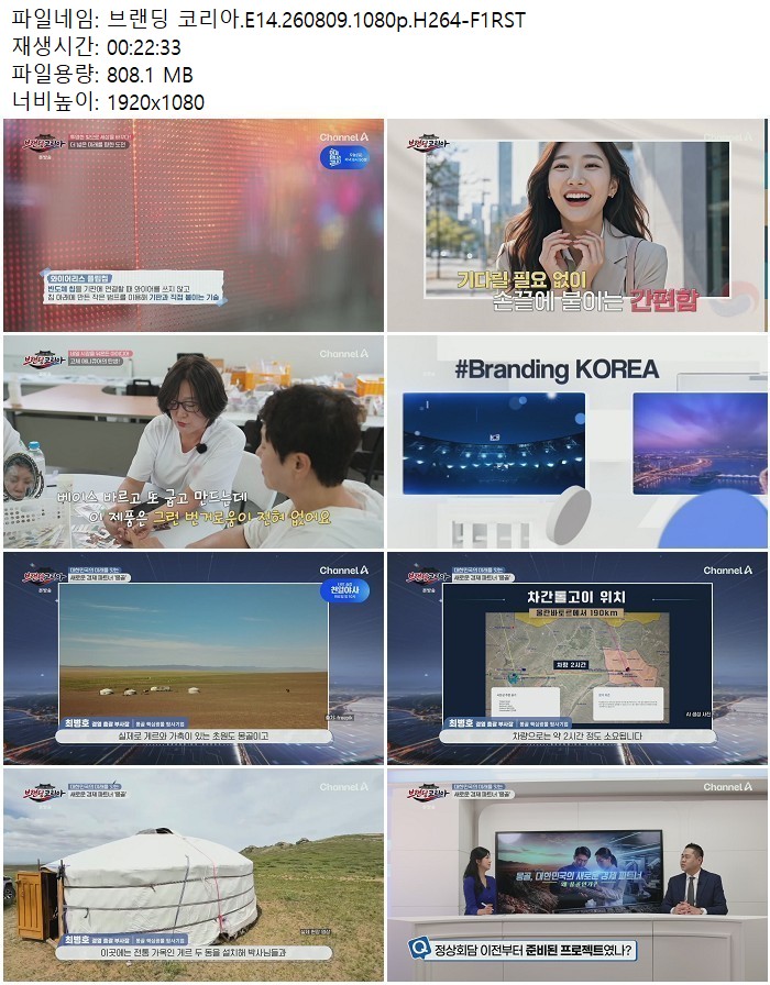 브랜딩 코리아.E14.260809.1080p.H264