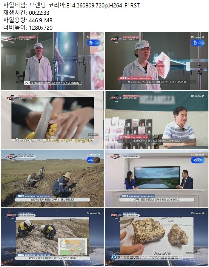 브랜딩 코리아.E14.260809.720p.H264