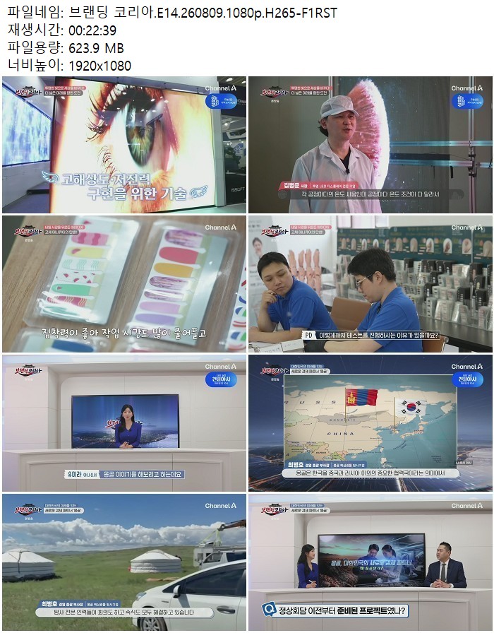 브랜딩 코리아.E14.260809.1080p.H265