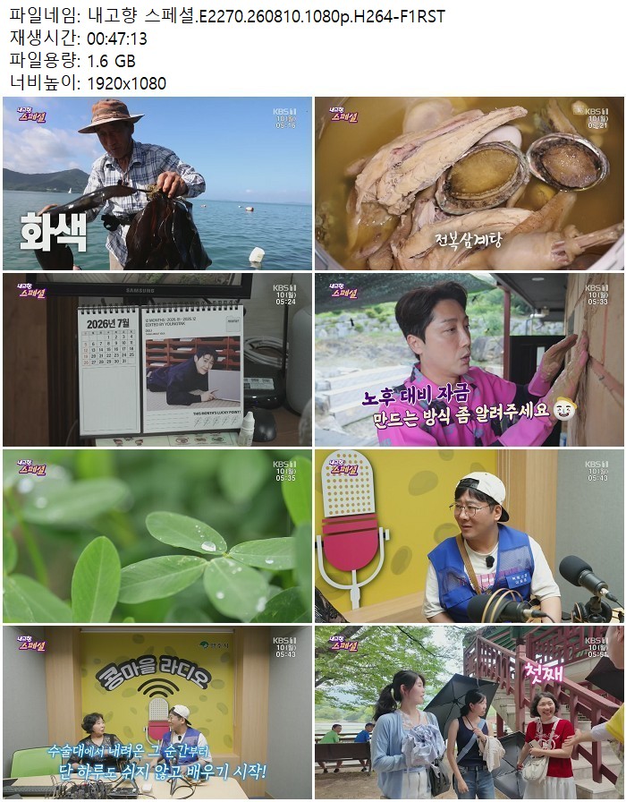 내고향 스페셜.E2270.260810.1080p.H264