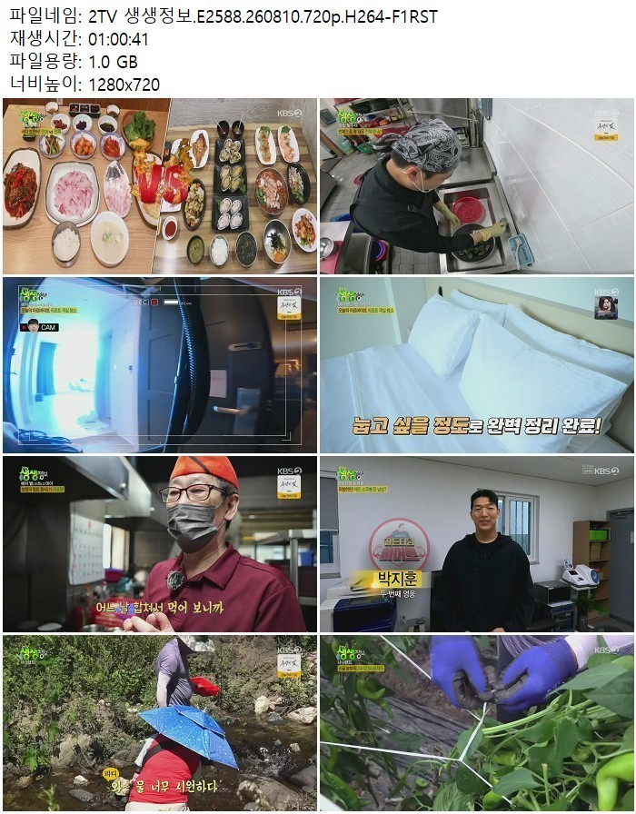 2TV 생생정보.E2588.260810.720p.H264