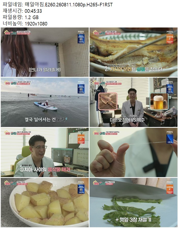 매일아침.E260.260811.1080p.H265