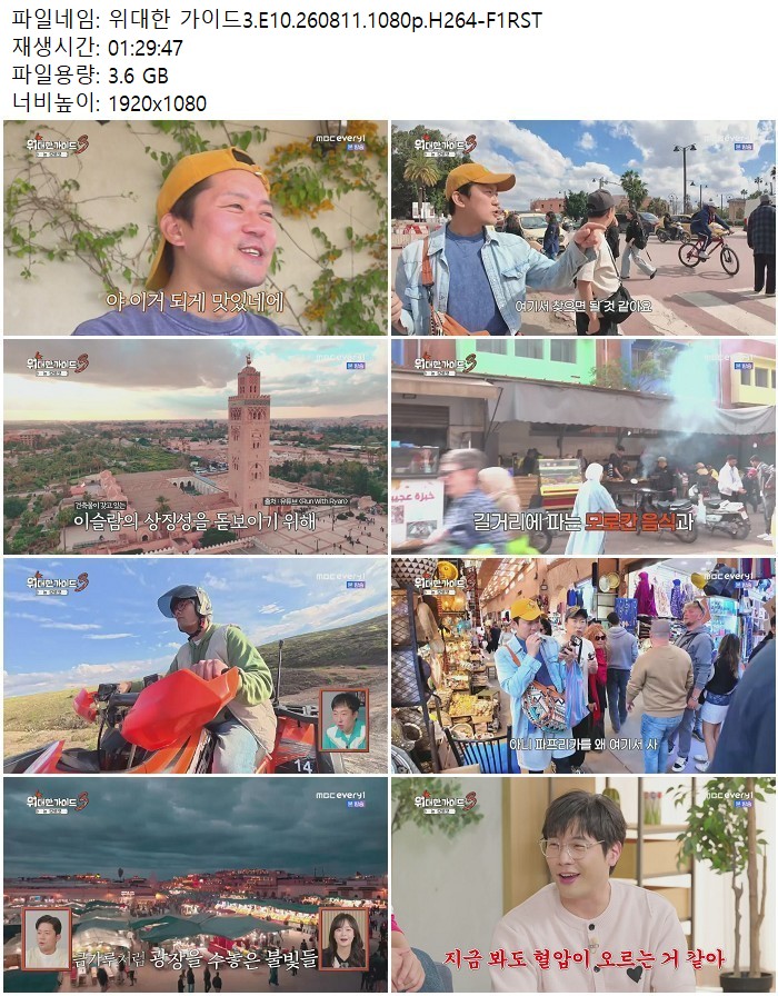 위대한 가이드3.E10.260811.1080p.H264
