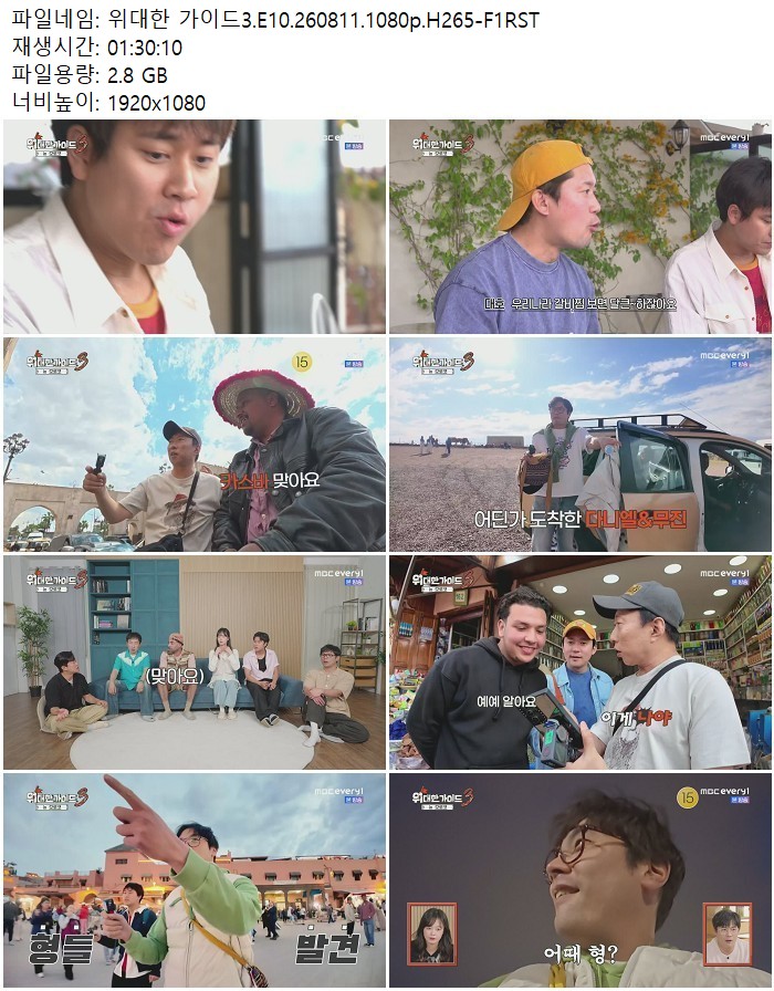위대한 가이드3.E10.260811.1080p.H265