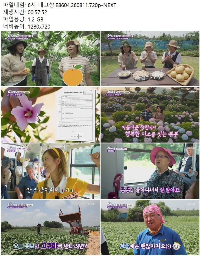 6시 내고향.E8604.260811.720p-NEXT