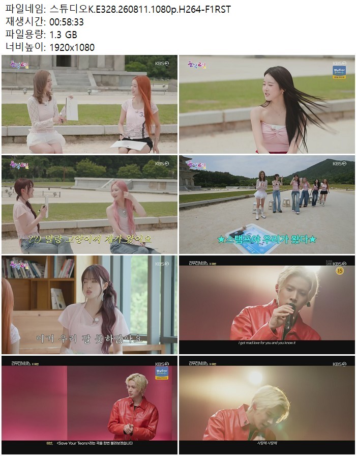 스튜디오K.E328.260811.1080p.H264