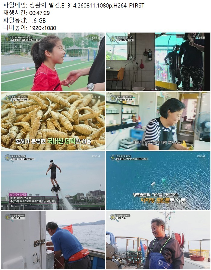 생활의 발견.E1314.260811.1080p.H264