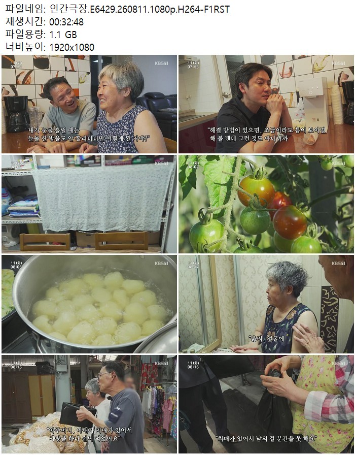 인간극장.E6429.260811.1080p.H264