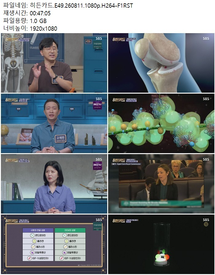 히든카드.E49.260811.1080p.H264