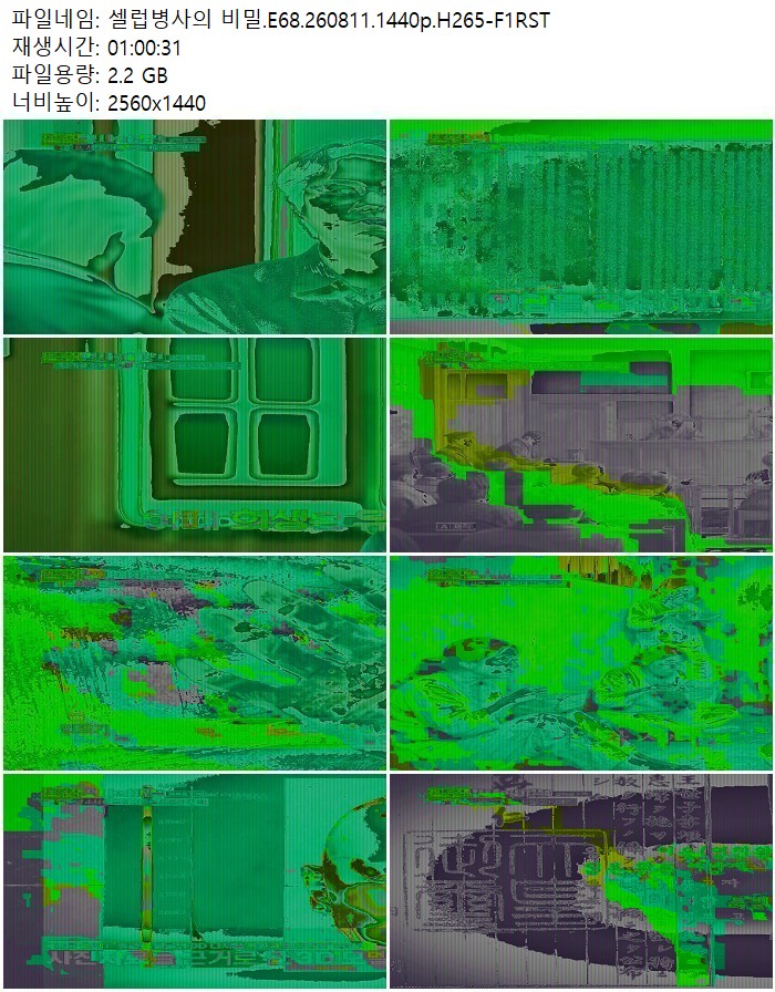 셀럽병사의 비밀.E68.260811.1440p.H265