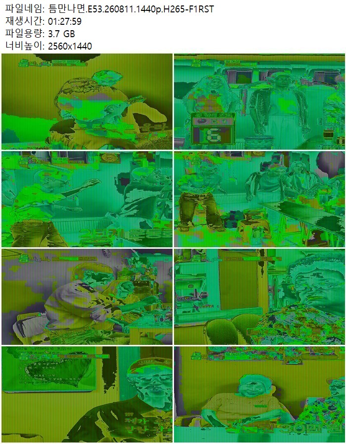 틈만나면.E53.260811.1440p.H265