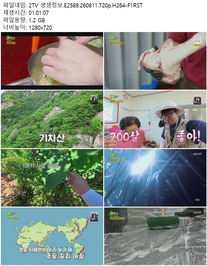 2TV 생생정보.E2589.260811.720p.H264