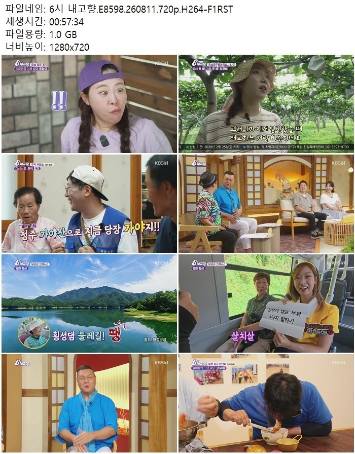 6시 내고향.E8598.260811.720p.H264