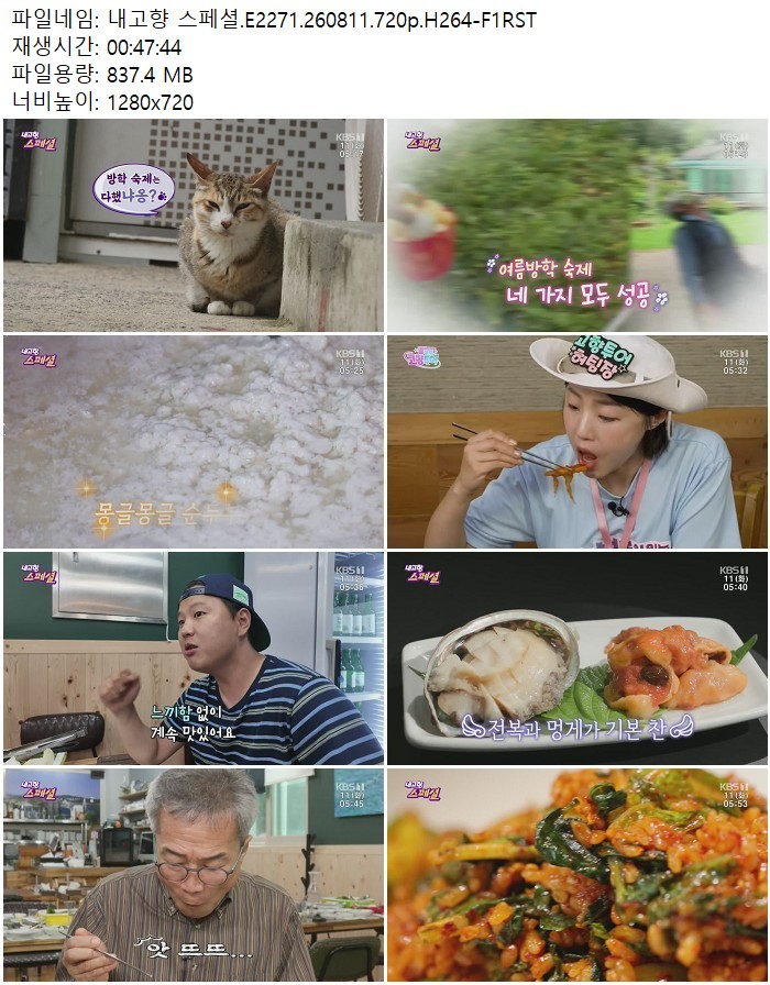 내고향 스페셜.E2271.260811.720p.H264
