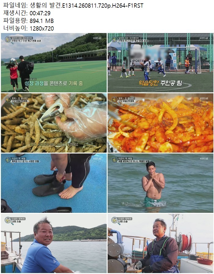 생활의 발견.E1314.260811.720p.H264