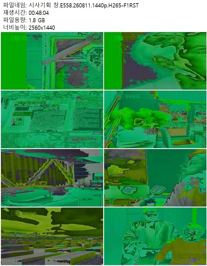 시사기획 창.E558.260811.1440p.H265