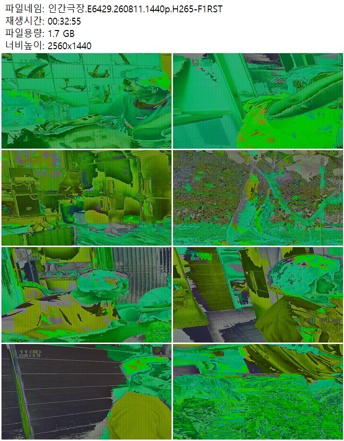 인간극장.E6429.260811.1440p.H265
