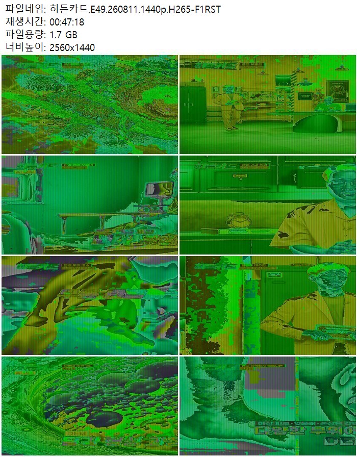 히든카드.E49.260811.1440p.H265