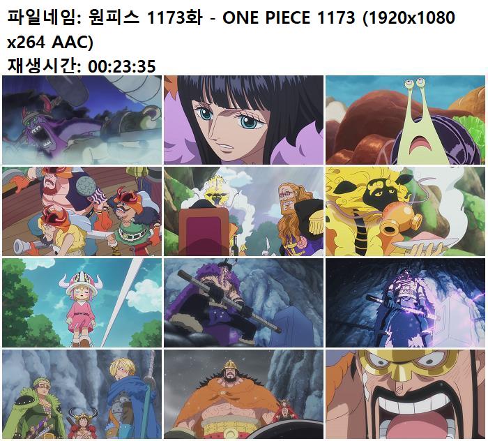 원피스 1173화 - ONE PIECE 1173 (1920x1080 x264 AAC)