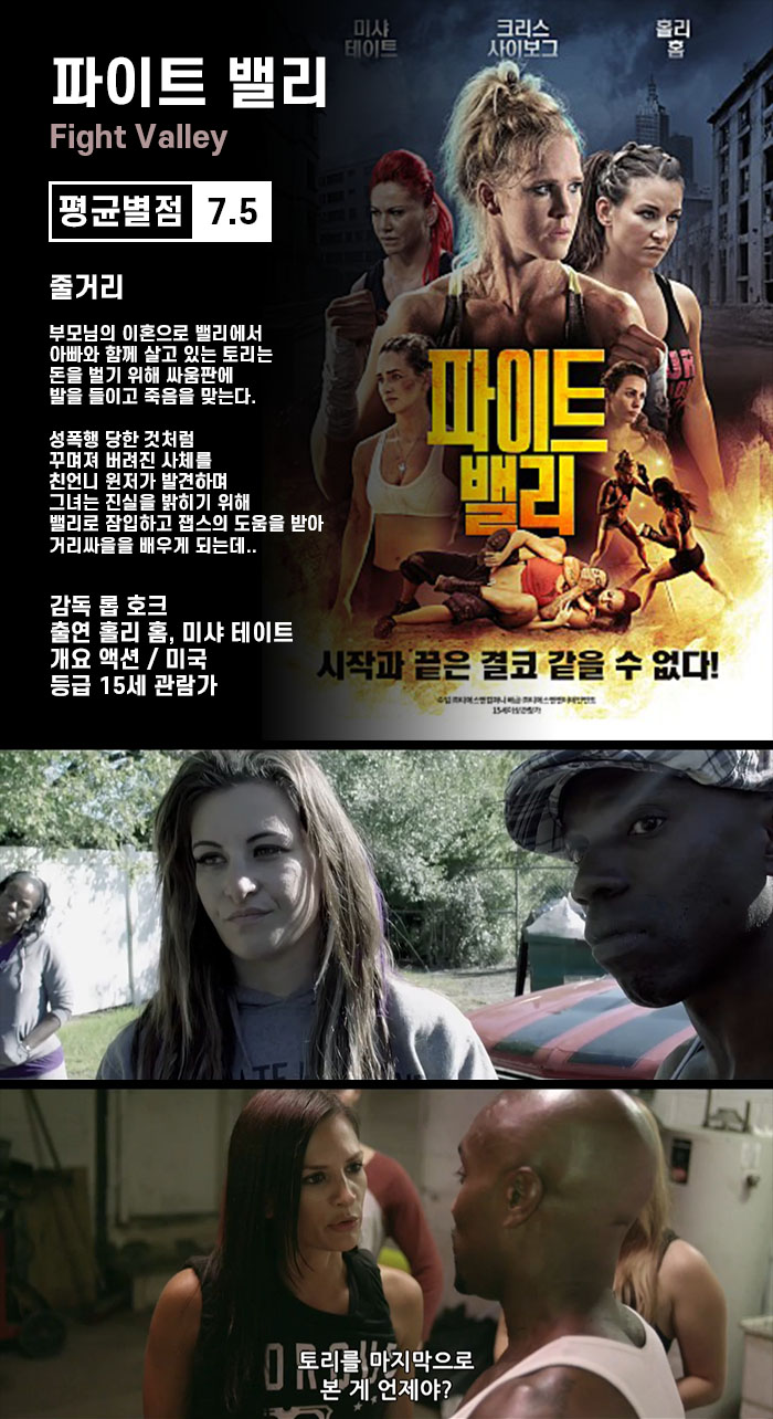 파이트 밸리.WEBRip.720p.h264.AAC_snmv