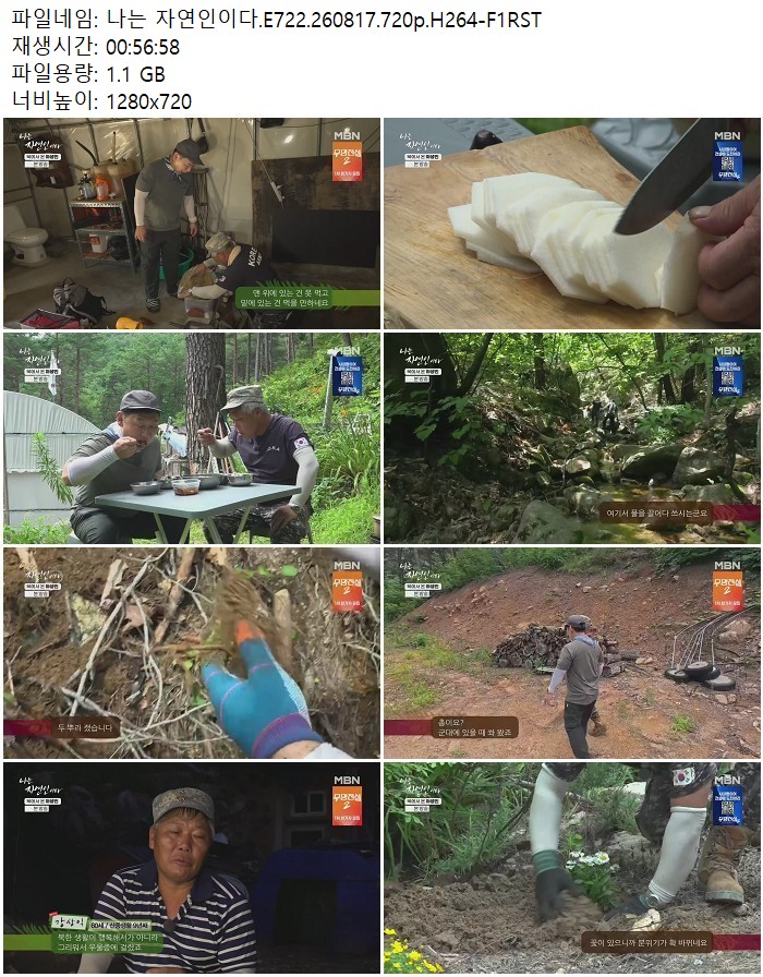 나는 자연인이다.E722.260817.720p.H264